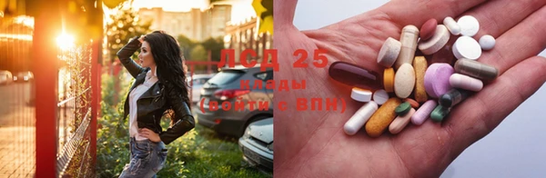 ГАЛЛЮЦИНОГЕННЫЕ ГРИБЫ Бородино