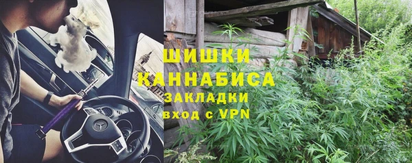 стаф Гусь-Хрустальный