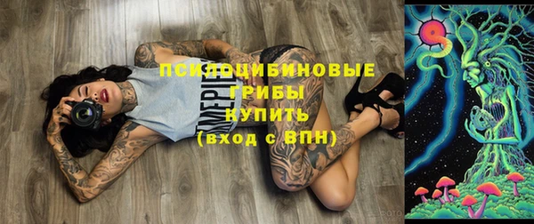Альфа ПВП Вязьма