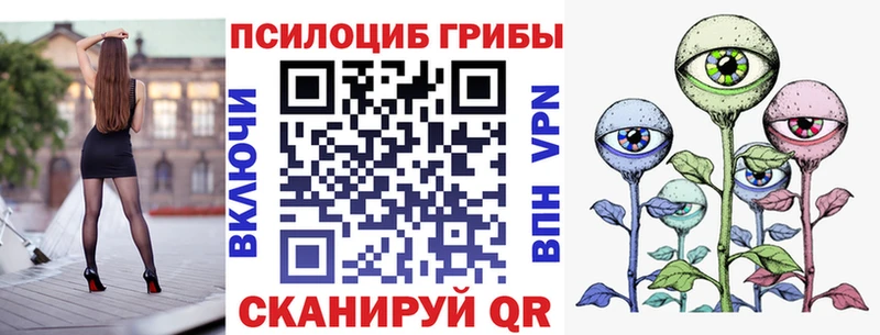 закладка  Ермолино  Псилоцибиновые грибы Psilocybine cubensis 